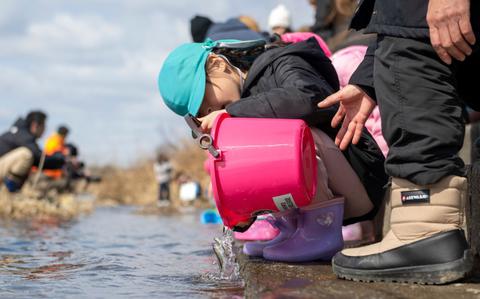 Photo Of A young participant releases juvenile salmon into the Oirase River during the 25th annual Oirase Salmon Release at Shimoda Salmon Park, Japan, March 16, 2024.