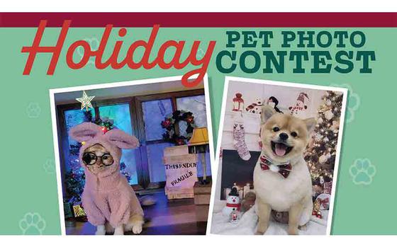 Holiday Pet Photo Contest flyer