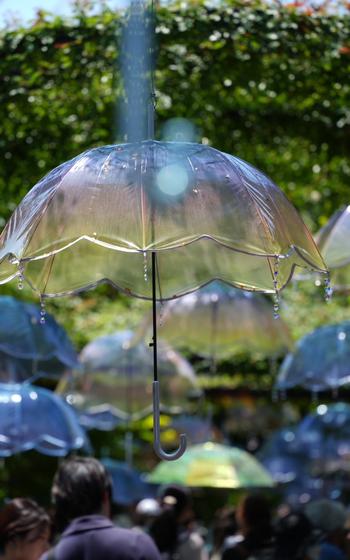 umbrellas