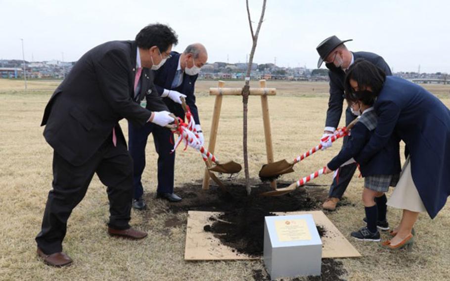 Representatives from Kanagawa City’s Chuo Ward, left, and U.S. Army Garrison Japan, right, plant a cherry blossom tree together March 25 on a shared area of Sagami General Depot to symbolize a commitment to the friendship between the installation and the city in which it resides. The tree was one of 60 the Chuo Ward donated that were planted on Sagami Depot’s “joint-use” area. (Photo Credit: Noriko Kudo)