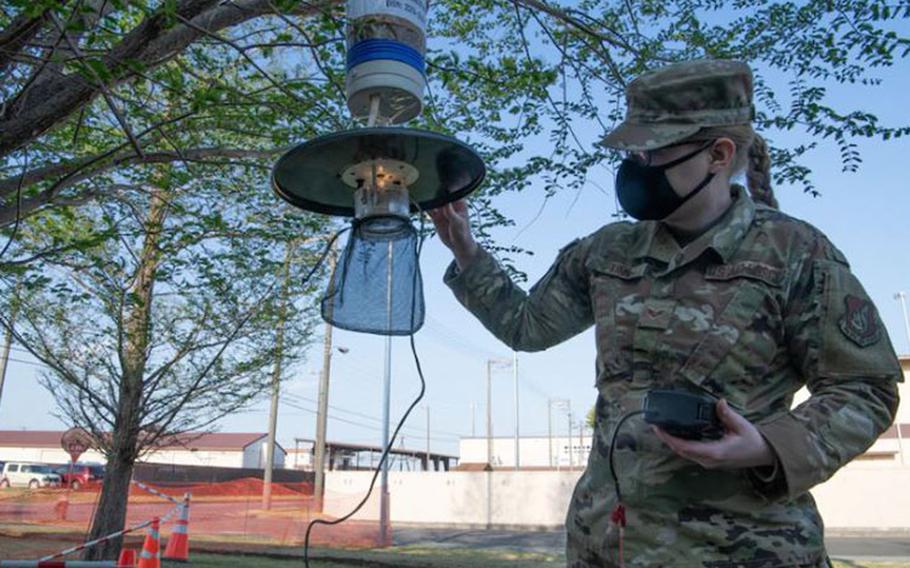 Senior Airman Amber King, 374th Operational Medical Readiness Squadron public health technician, sets a mosquito trap at Yokota Air Base, Japan, April 8th, 2021. Entomology and the maintenance of potentially infectious species is one of many Public Health technician’s responsibilities. One of the major risks living in Japan is mosquitos contributing the spread of Japanese Encephalitis. (Airman 1st Class Tyrone Thomas)