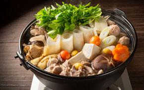 nabe - Japanese style hot pot