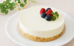 no-bake cheesecake
