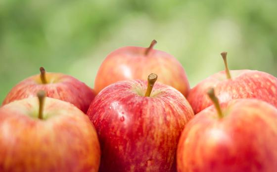 group of fresh red apples on blurred bokeh nature background selective focus to the center one