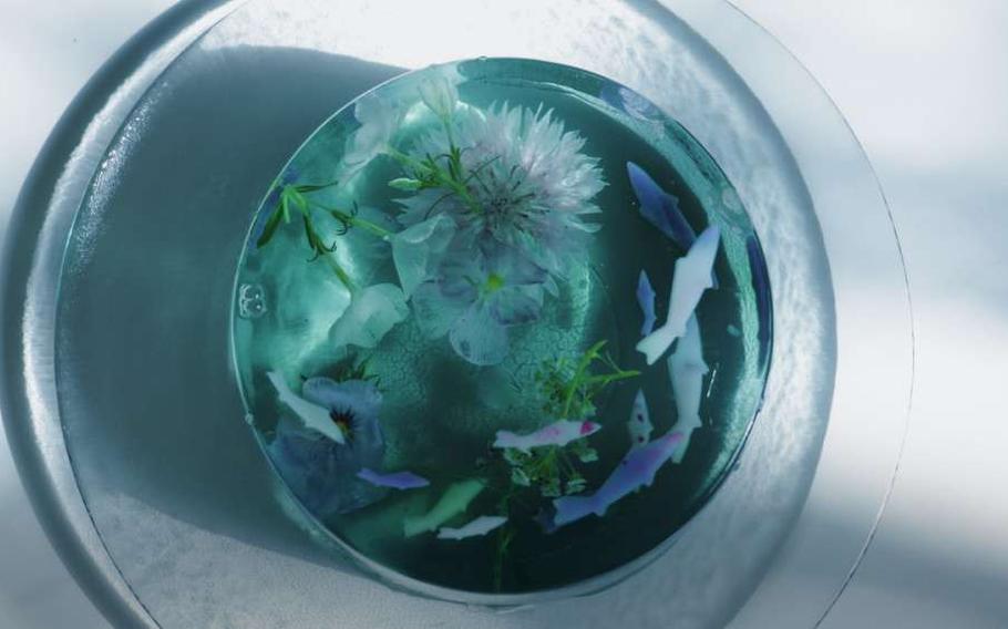 “Claude Monet’s Pond” Jelly