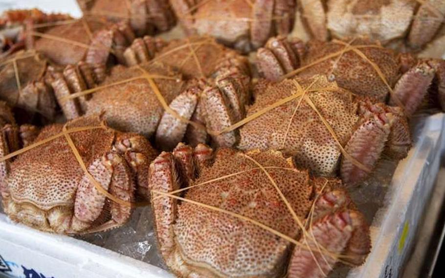 hairy crabs
