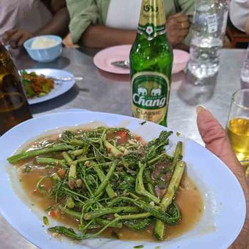 Sauteed morning glory