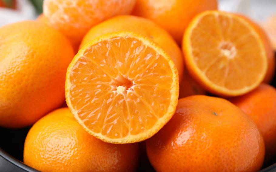 The best Japanese citrus fruits to eat | Stripes Japan