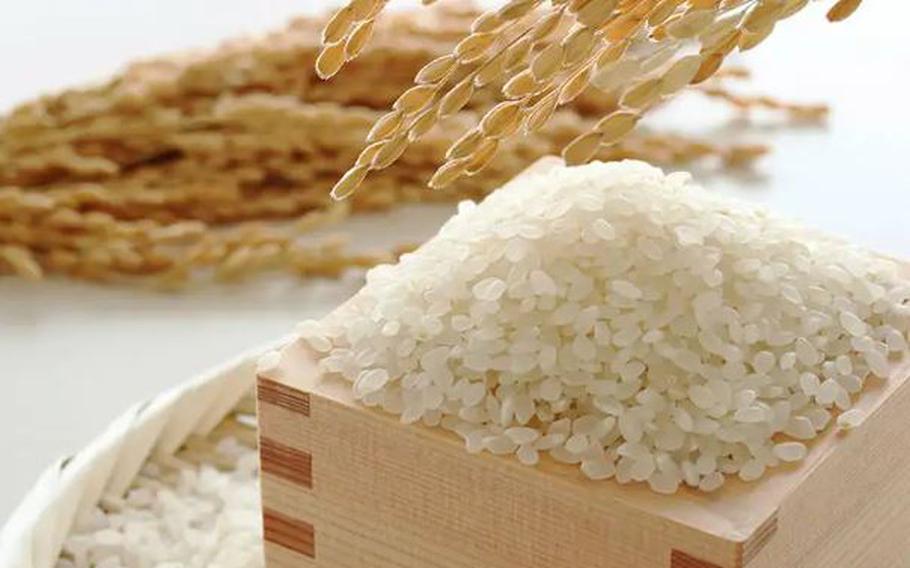 rice