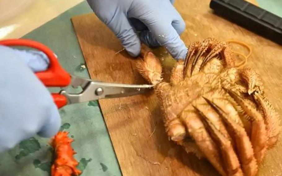 With the crab facing upside down, cut off the legs at where it joins to the body, and cut the legs in half at the joints.