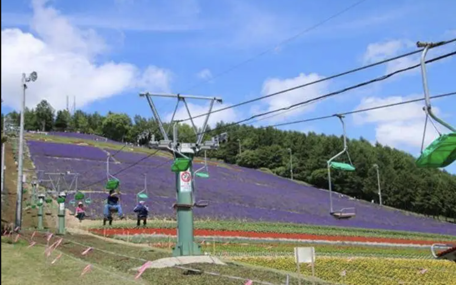 Hokuseiyama is a ski resort during the winter and during the summer the slope becomes a lavender field.