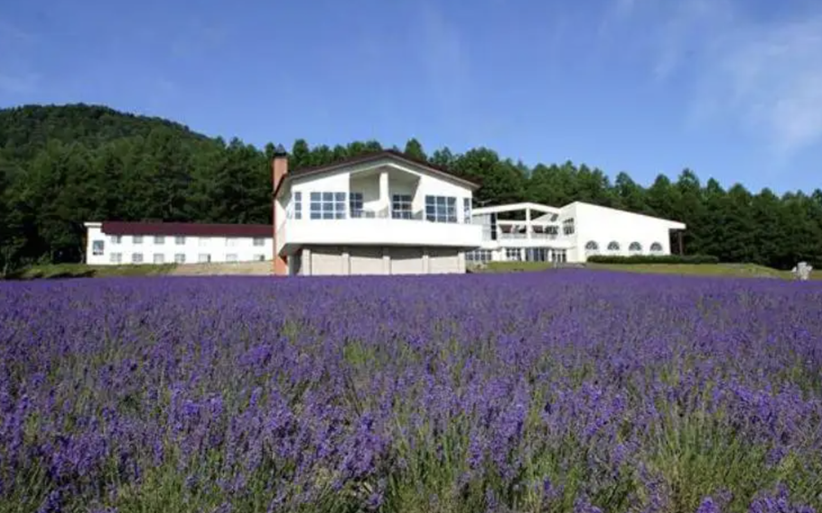 The Sea of Lavender in front of the hot spring lodging facility