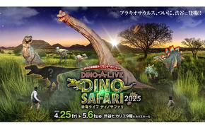 flyer promoting dino safari 2025.