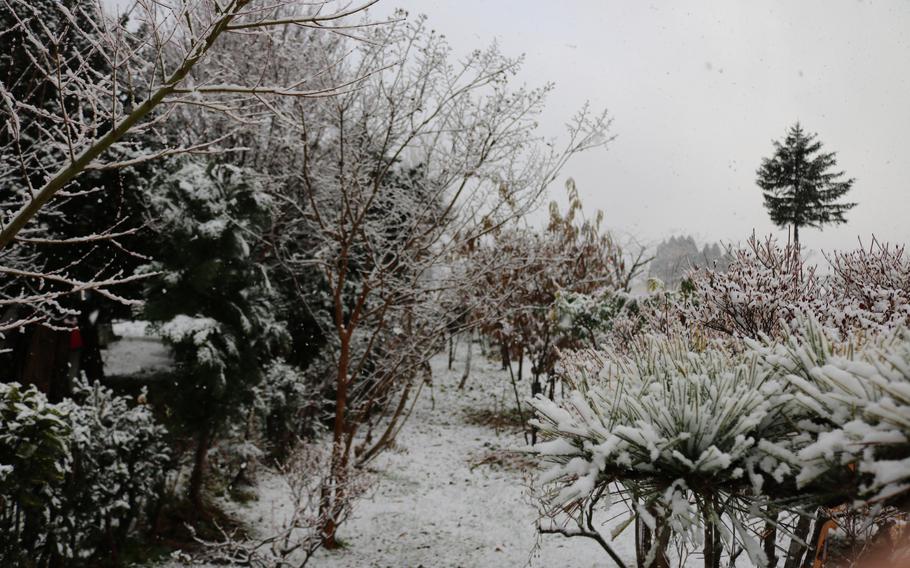 It is snowing on the trees.