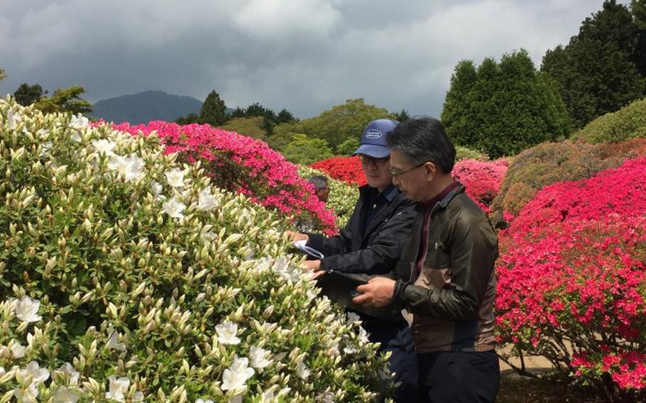 Two people are enjoying the flower.