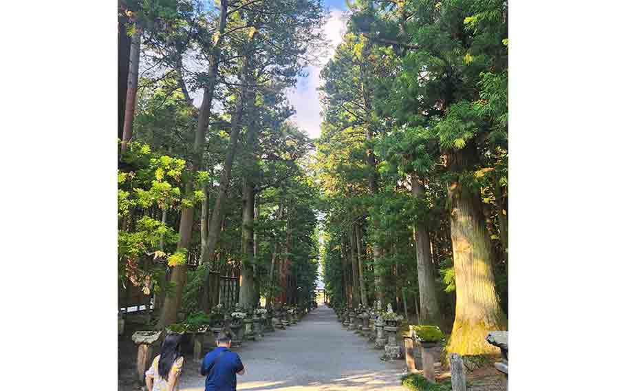 Trees and path at Kitaguchi Sengen Shrine