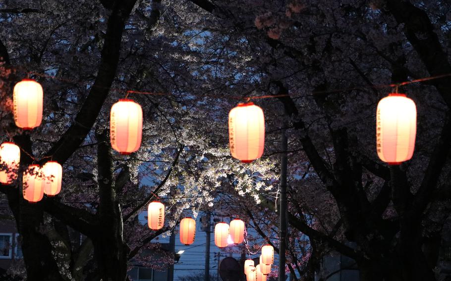 Misawa Central Park light-up 