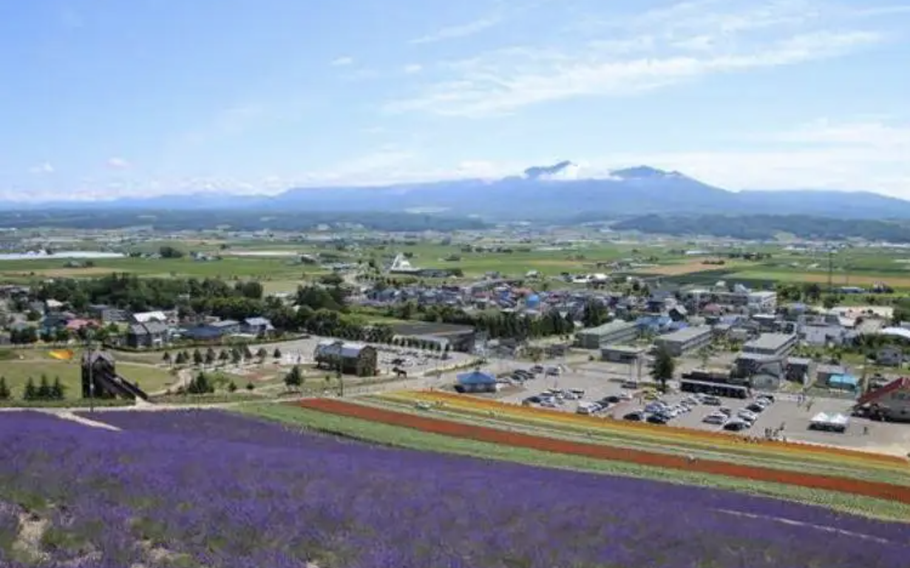 The view going down is also amazing! It is as if you are walking on air above a flower field.