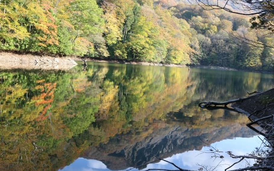 A pond on Shirakami-Sanchi mountain range.