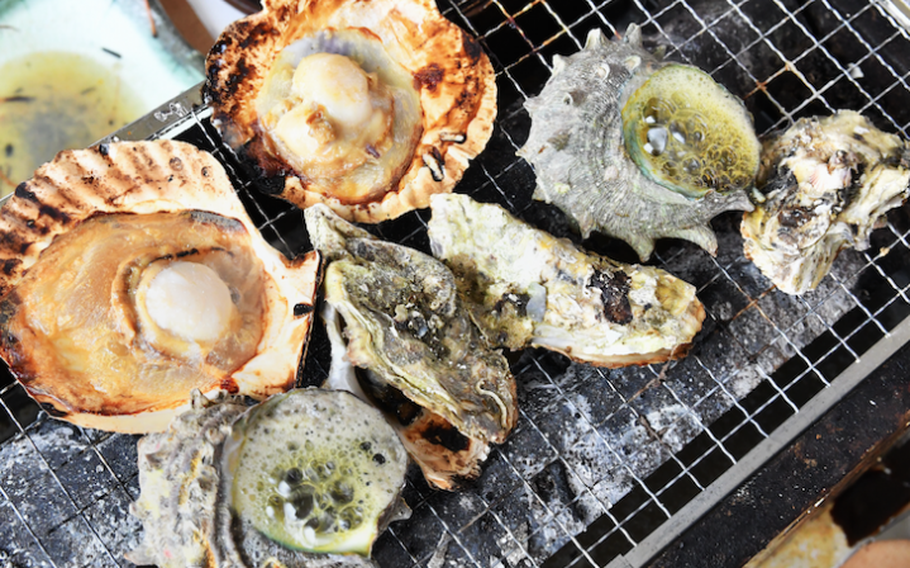 grilling shells