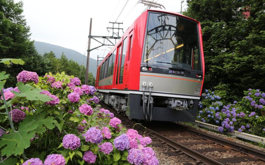 hydrangeas and a train.