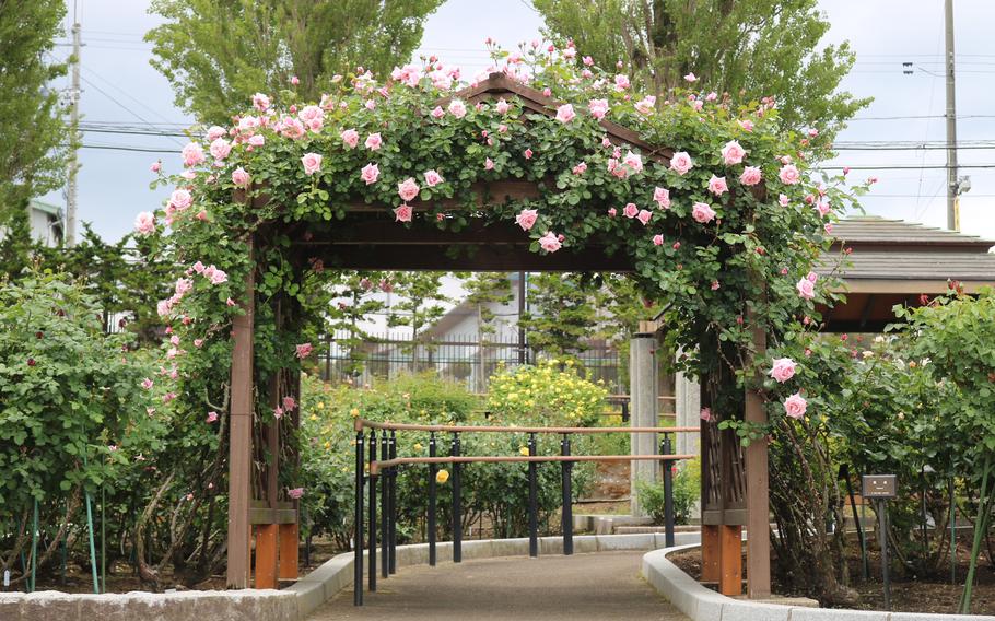A flower gate.