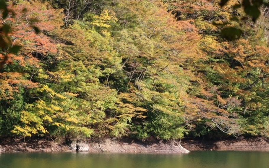 A pond and threes slightly covered in autumnal foliage.