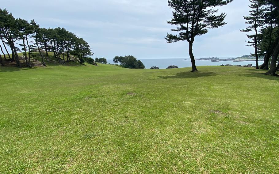 Lawn by the beach.