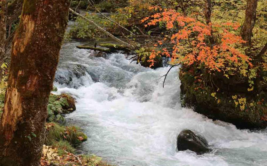 Oirase Mountain Stream