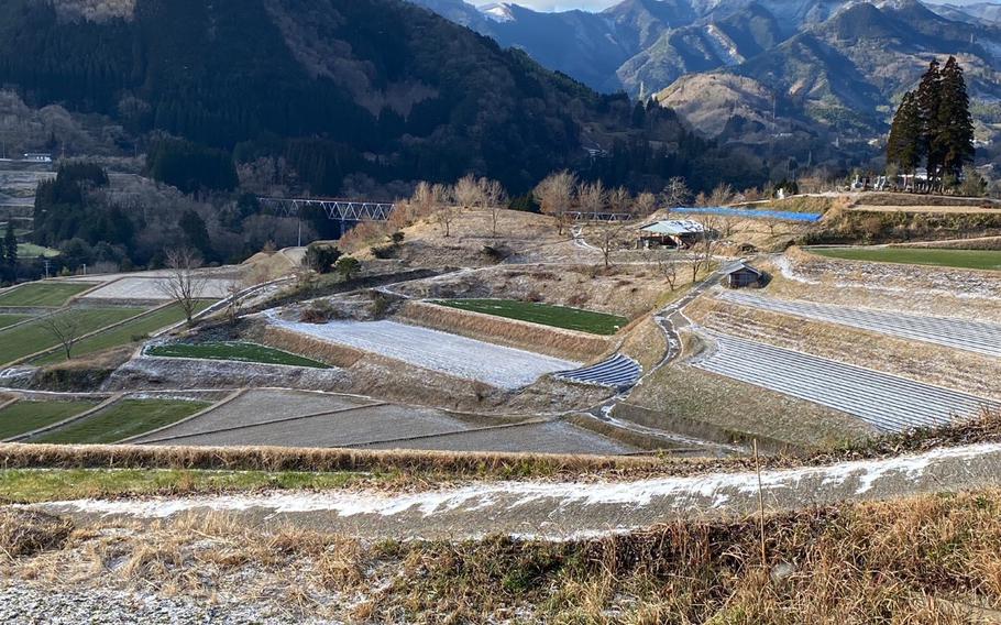 Tochimata terraced rice pady