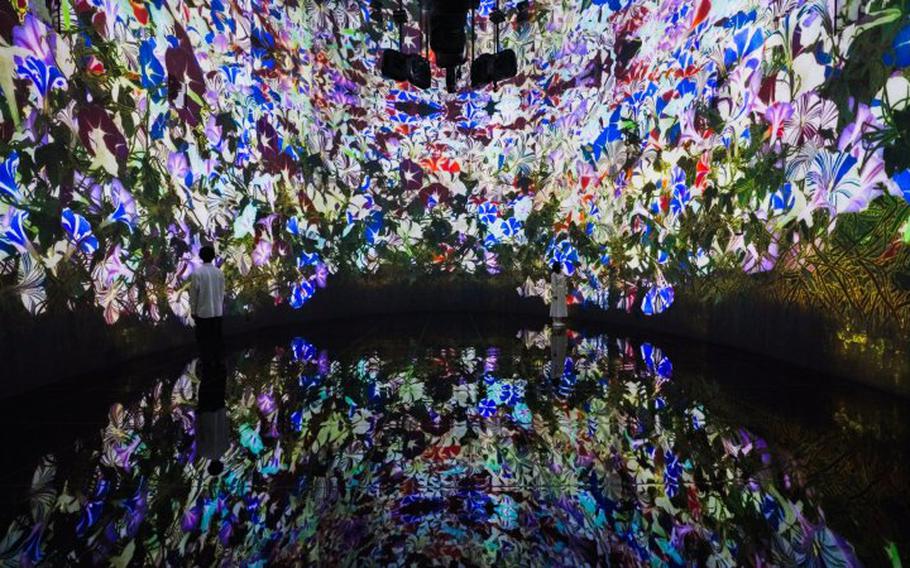 teamlab exhibit.