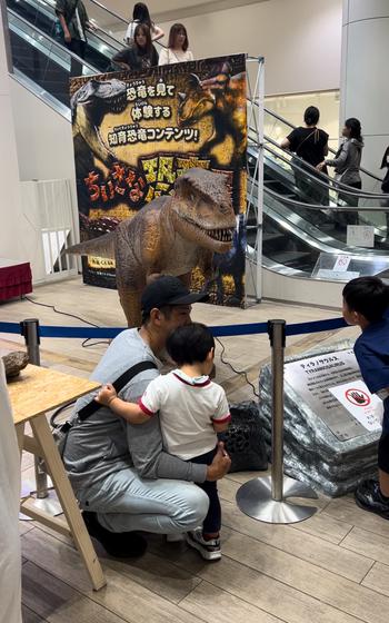 Dino display