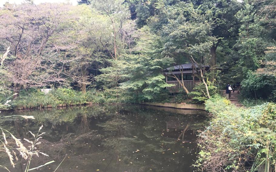 A pond can be seen.