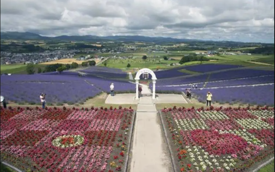 Past the observation deck surrounded by flowers is the view of the Furano flower fields and Furano basin beyond.