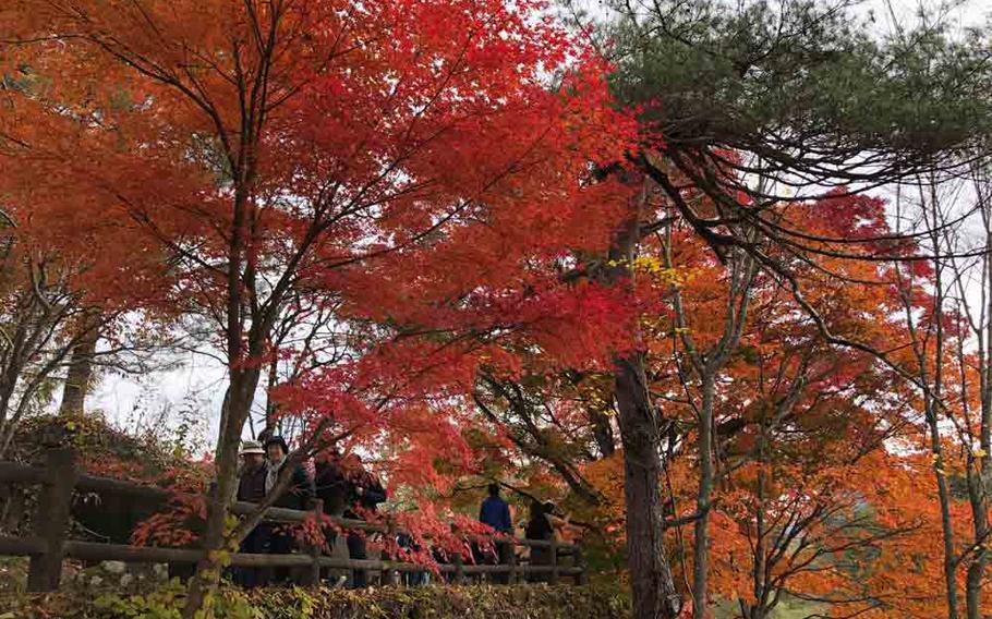 Goshikinuma ponds