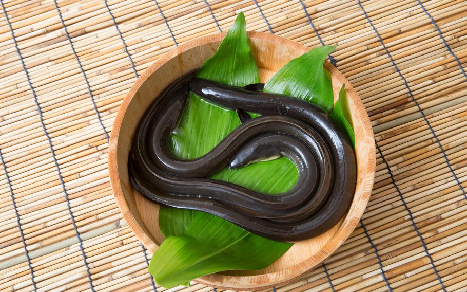 Some unagi are in abucket.