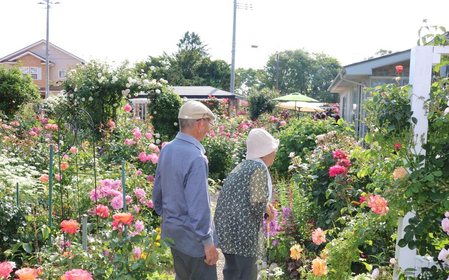 Mr. and Ms. Nakaguki are enjoying their garden.