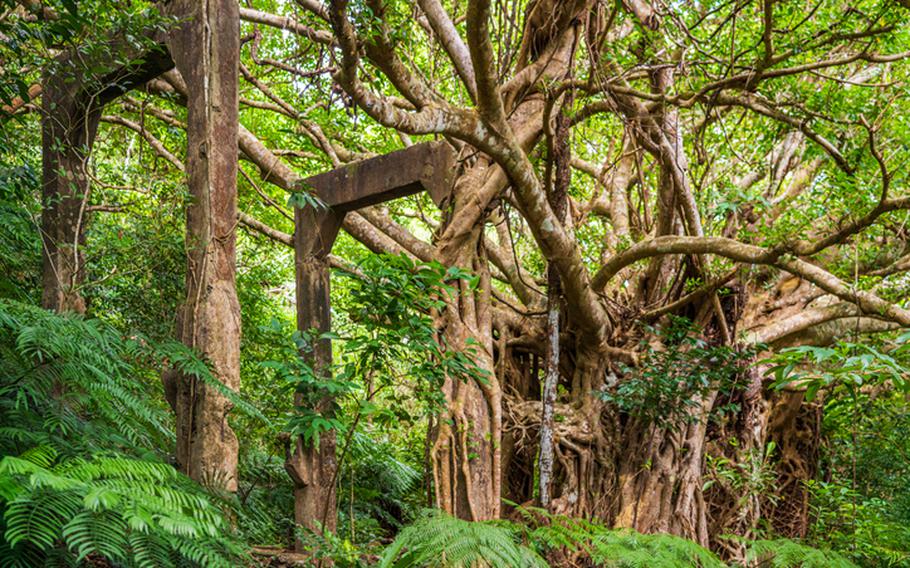 Ruins of Utara coal mining facility on Iriomote Island, Okinawa, Japan