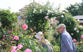 Mr. and Ms. Nakaguki are enjoying their garden.