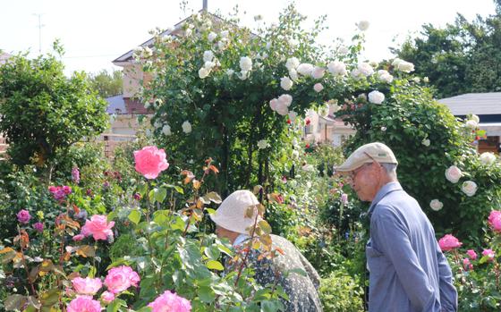 Mr. and Ms. Nakaguki are enjoying their garden.