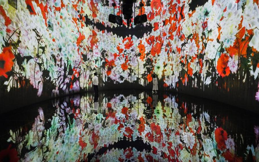 teamlab exhibit.