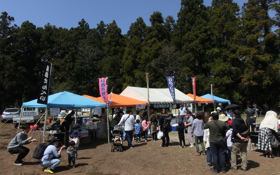 Booths in a clearing.