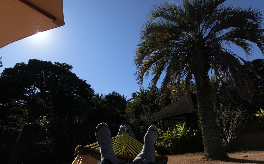 Ichiro enjoys the hammock in Asian Garden R-Asia.
