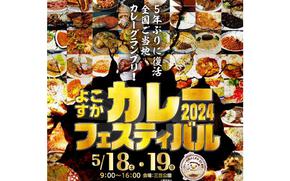 Taste of Japan: Yokosuka Curry Festival near U.S. Navy base May 18-19