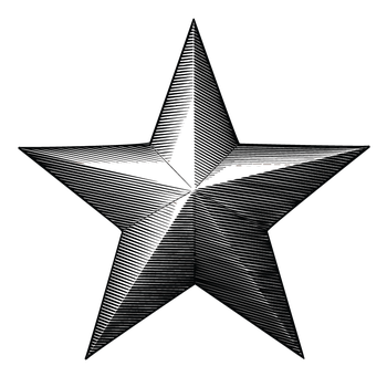 nautical star logo