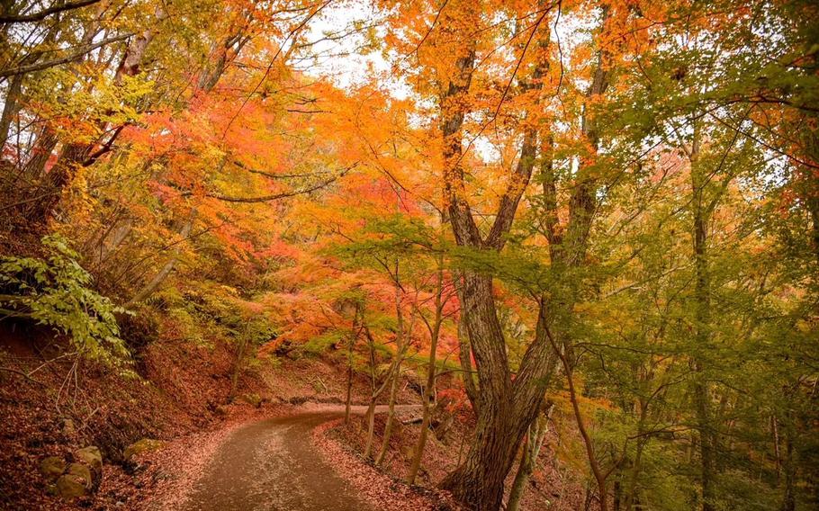 path in the mountain.