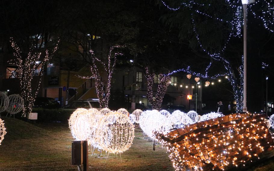 the trees in the park were illuminated.