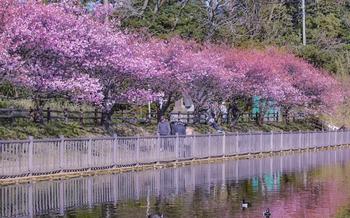 Komatsugaike Pond