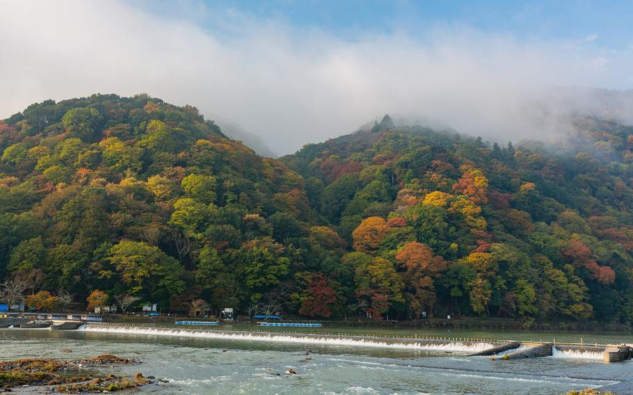Sunny view of the fall color around Katsura River at Arashiyama, Kyoto, Japan