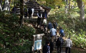 visitors walking in the forest.